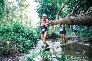 BIB: 
                            <button type="button" onclick="openModal(25435090)" class="btn btn-primary btn-sm float-right btn-popup" data-toggle="modal" data-target=".modal-high-quality">
                        <i class="fas fa-shopping-cart"></i> Add to Cart
                    </button>
                                            <button type="button" onclick="isThisMe(25435090, true)" class="btn btn-success btn-sm float-right btn-popup btn-isme hidden" data-toggle="tooltip" data-placement="bottom" title="นี่คือรูปของคุณใช่ไหม คลิกที่นี่เพื่อเอาเข้าอัลบั้ม">
                        <i class="fas fa-plus"></i> Add to album
                    </button>
                    <button type="button" onclick="isThisMe(25435090, false)" class="btn btn-warning btn-sm float-right btn-popup btn-isnotme hidden">
                        <i class="fas fa-ban"></i> Remove from album
                    </button>